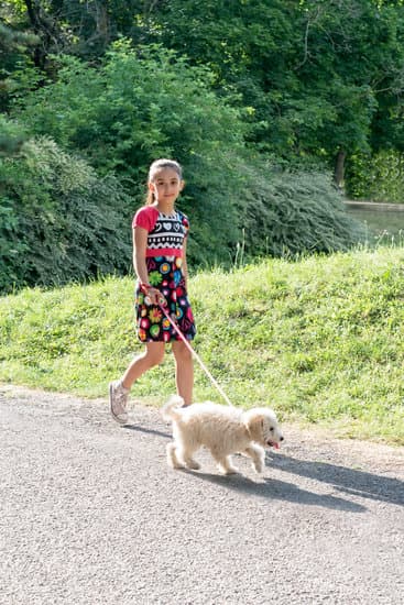 canva-pretty-little-girl-taking-her-dog-for-a-walk-MAEO3s70Haw