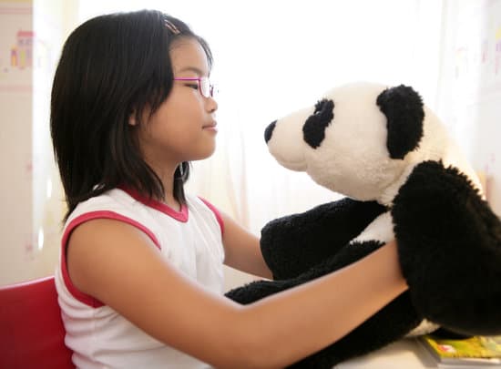 Asian girl with her panda teddy bear