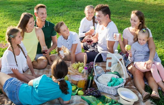 Portrait of  parents with children on picnic in nature at summer