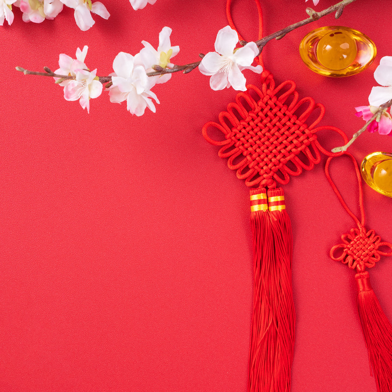 Design concept of Chinese lunar new year – Beautiful Chinese knot with plum blossom isolated on red background, flat lay, top view, overhead layout.
