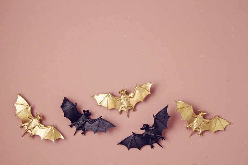 Top view of Halloween decoration with plastic bats. Party, invitation, halloween decoration